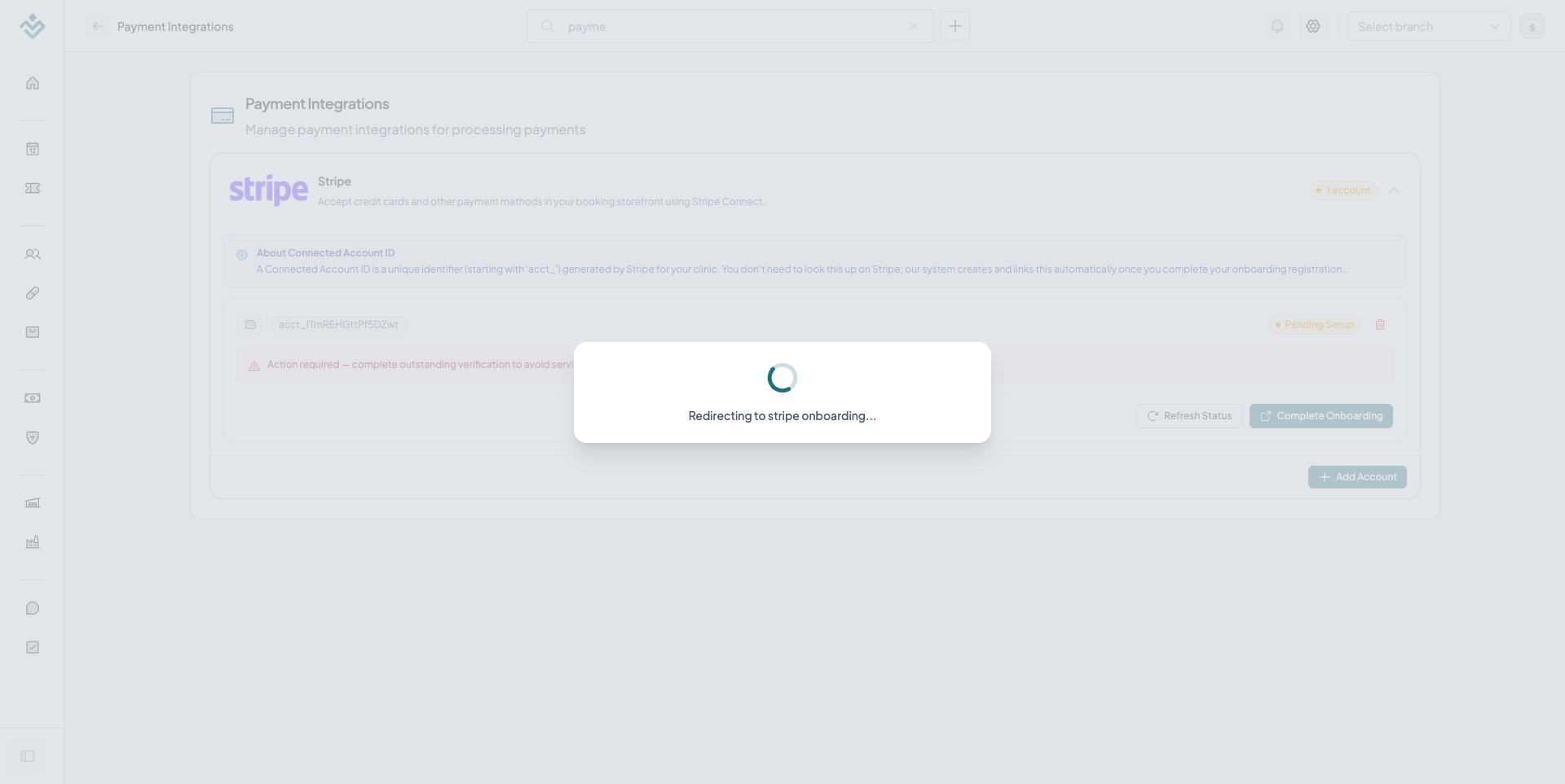 Stripe Redirection Loader